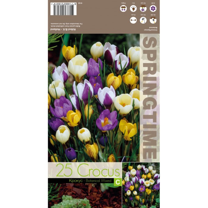 Минзухар Ботанически Микс / Crocus Botanical Mixed - 25 бр луковици