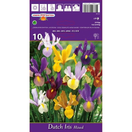 Ирис Холандски Микс / Dutch Iris Mixed - 10 бр луковици