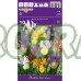 Ирис Холандски Микс / Dutch Iris Mixed - 10 бр луковици