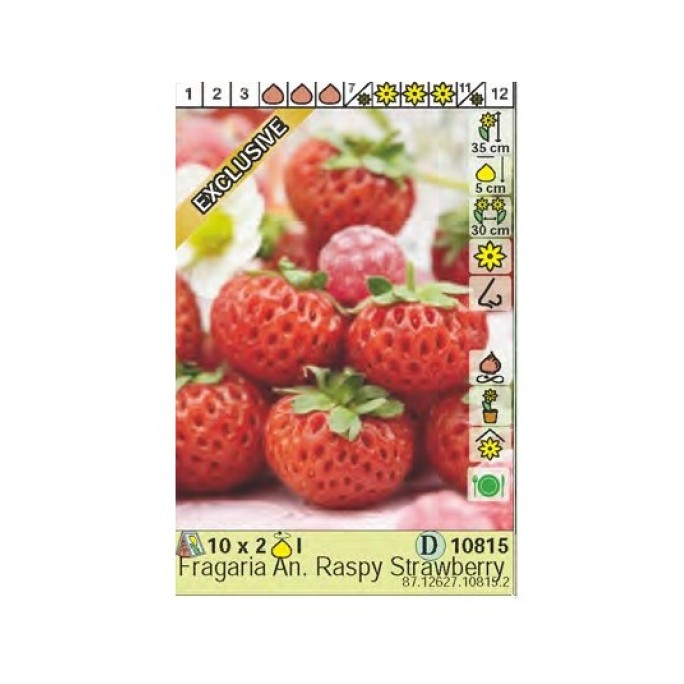 Ягоди Распи / Fragaria × ananassa Raspy Strawberry - 2 бр корени