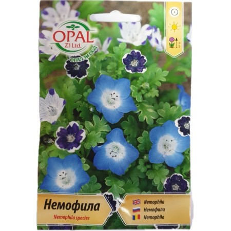 Немофила Микс / Nemophila species