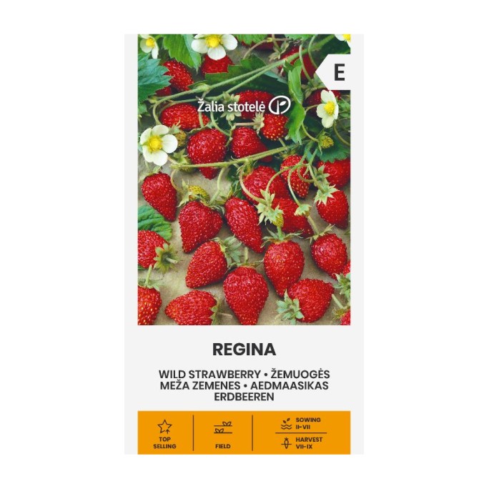 Ягоди Регина / Fragaria vesca