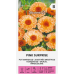 Медицински Невен Pink Surprise / Calendula officinalis L.