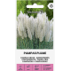Пампаска трева (бяла) / Cortaderia selloana PAMPAS PLUME 